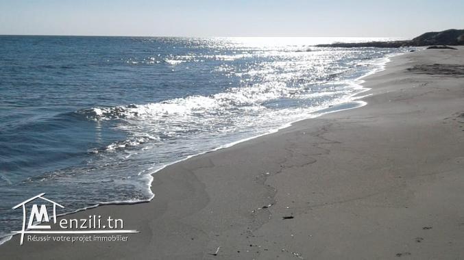 أرض على البحر في قليبية/ كركوان tél 26122779