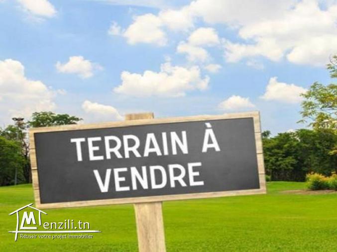 terrain 245m2 citer diamant kharrouba hammamet nord