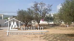 terrain 245m2 citer diamant kharrouba hammamet nord