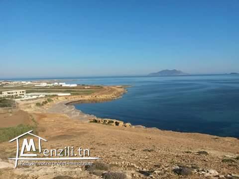 للبيع قطعة ارض 3000 متر مربع