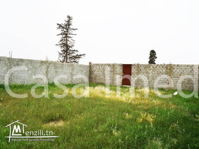 deux superbe terrain clôturée