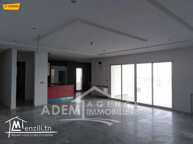 Magnifique penthouse