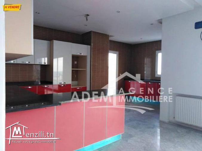 Magnifique penthouse