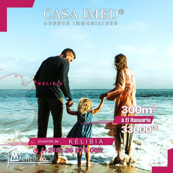 Terrain à haouaria 800 mètre du plage