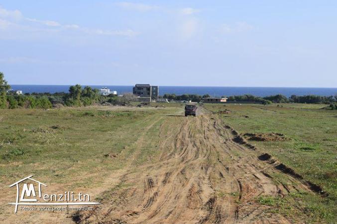 Terrain a erkouene plage