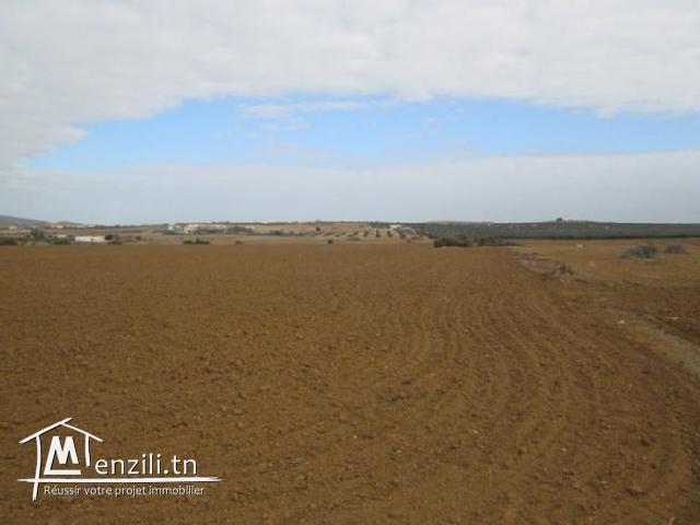 Opportunité à saisir