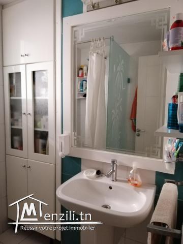 APPARTEMENT RÉNOVÉE MAGNIFIQUE