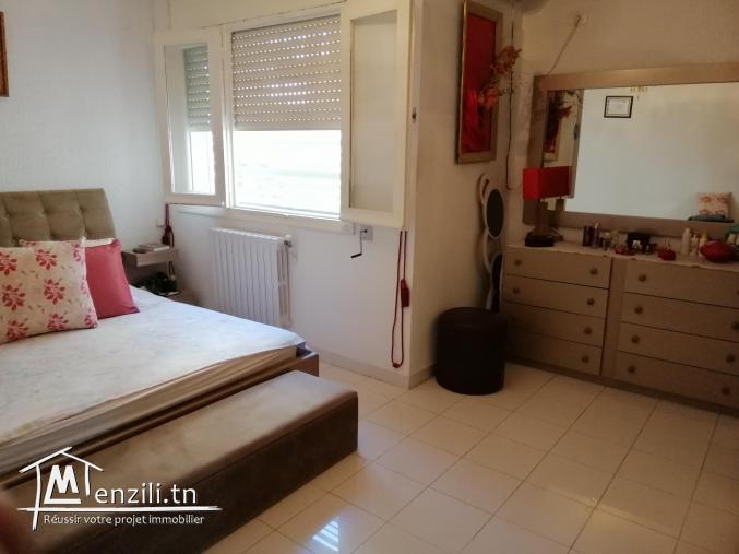 APPARTEMENT RÉNOVÉE MAGNIFIQUE