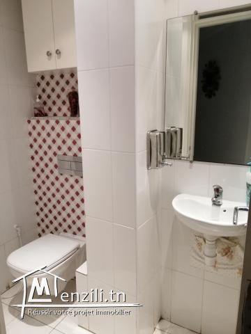 APPARTEMENT RÉNOVÉE MAGNIFIQUE