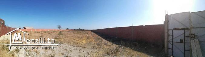 Terrain clôturé