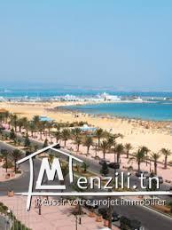 des lots de terrains a 10min de yasmine avec titre bleu