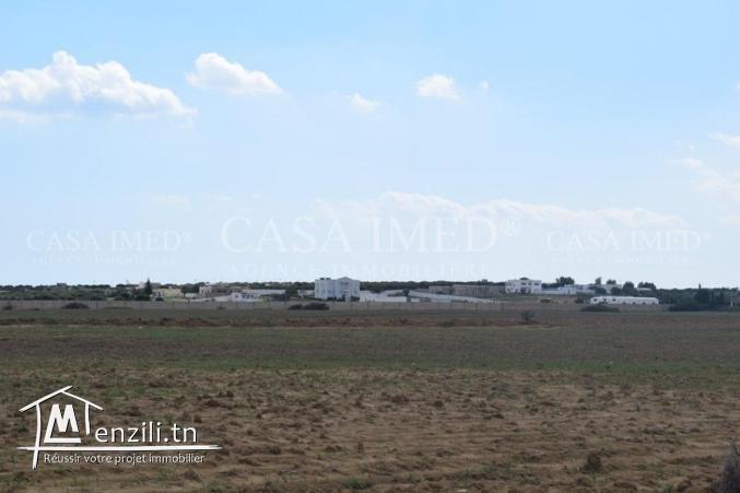 des lots de terrains a 10min de yasmine avec titre bleu