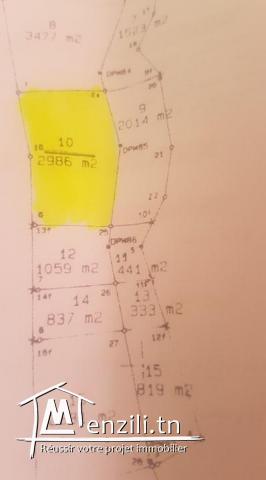 beau terrain a hergla vu mer