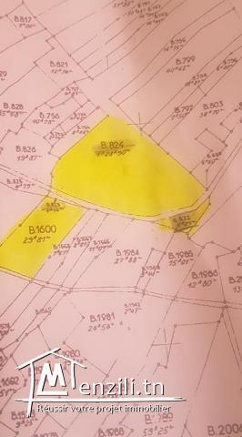 beau terrain a ksour gharnata