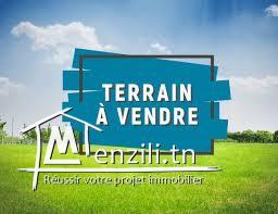 un terrain R+5 de 462 m² à Hammem sousse