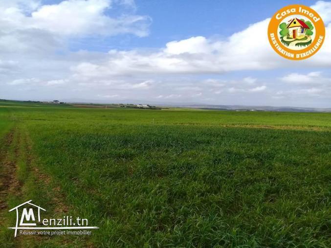 terrain à vendre à manzel brahim prix 27 mille d