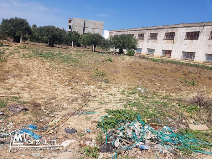 Terrain constructible a Ras jbel