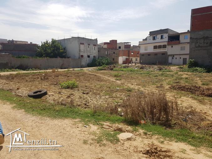 Terrain constructible a Ras jbel