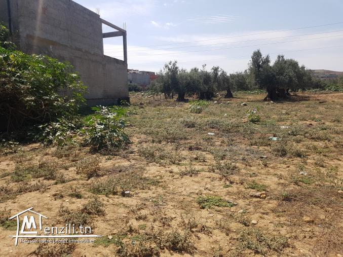 Terrain constructible a Ras jbel