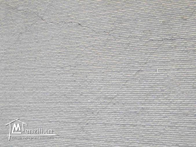 DALLAGE  MARBRE THALA