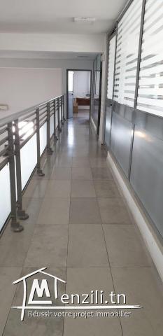 DALLAGE  MARBRE THALA