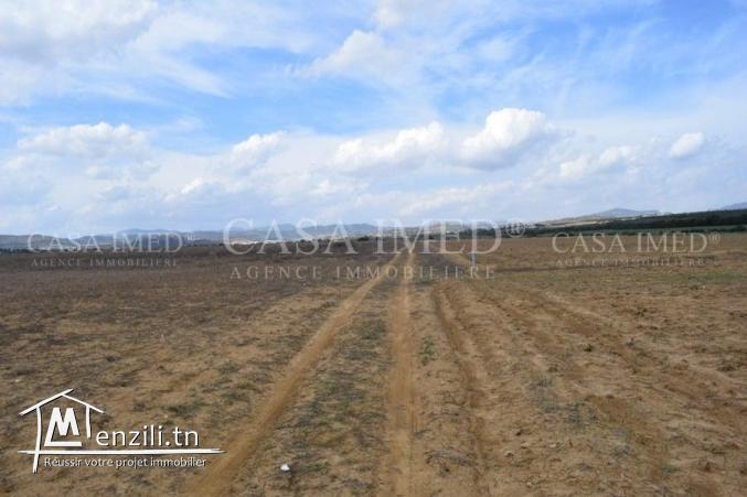 Terrain à hammamet 6 km de yasmine hammamet