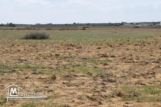 A vendre terrain a Hammamet