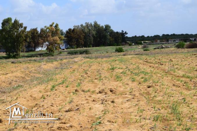 A vendre terrain a Hammamet