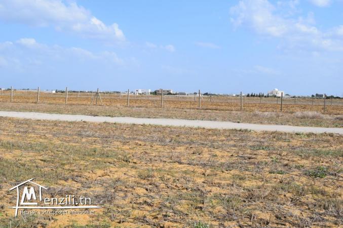 A vendre terrain a Hammamet