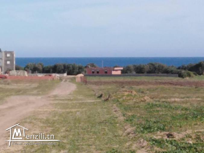 Terrain a vendre a kerkouen