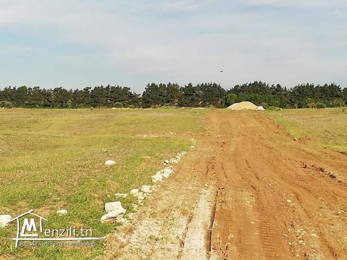 Terrain a Manzel Brahim 6 km a kélibia