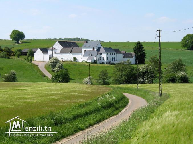 senia a vendre prés eco village-sidi bouali