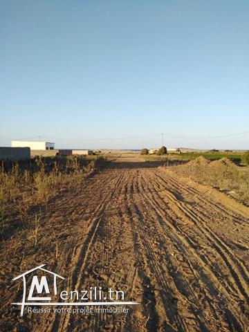 terrain cité dar allouch kélibia 200m a la plage