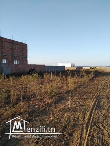 terrain cité dar allouch kélibia 200m a la plage