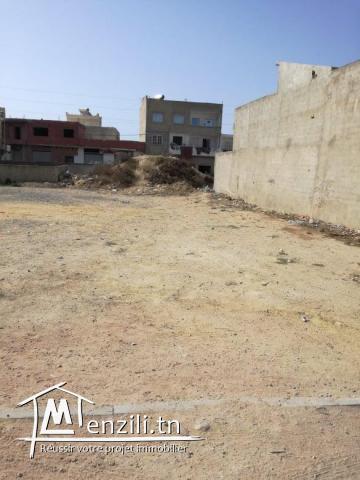 terrain cité kelibia zone calme