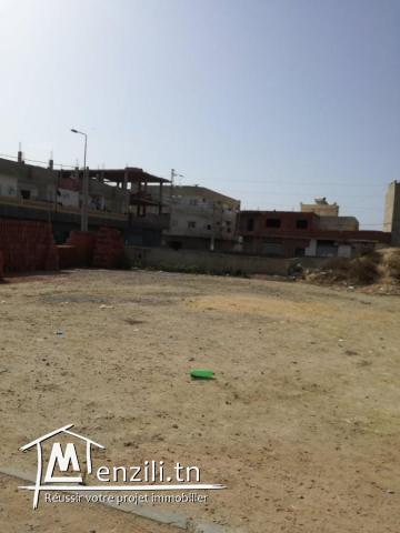 terrain cité kelibia zone calme