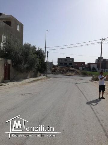 terrain cité kelibia zone calme
