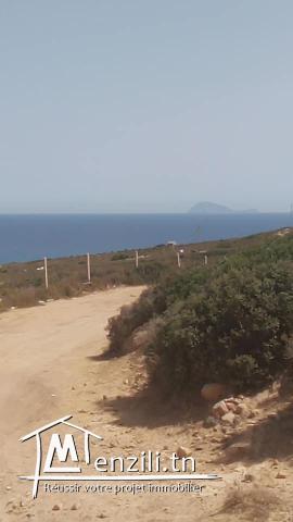 titreé cap fartas