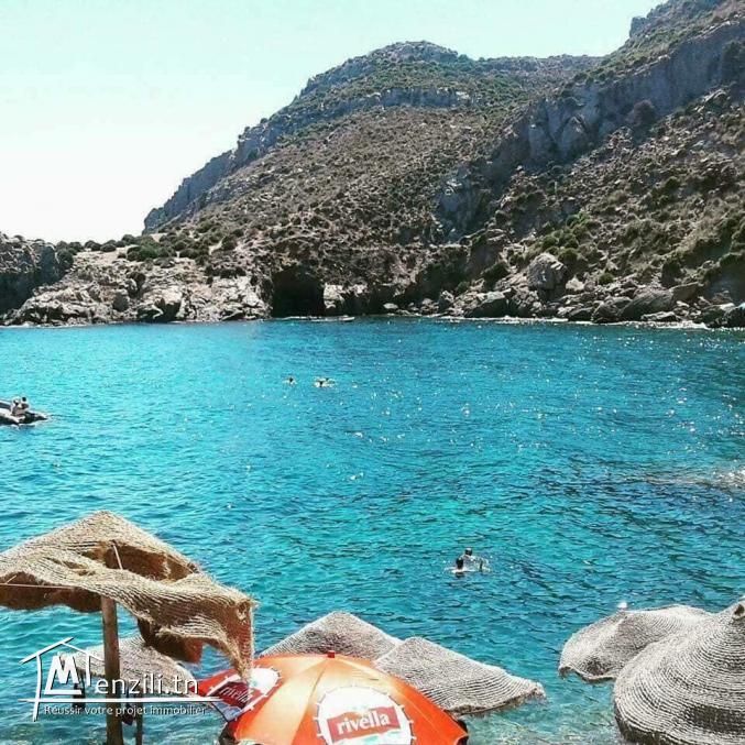 terrain de 250m² à Haouaria