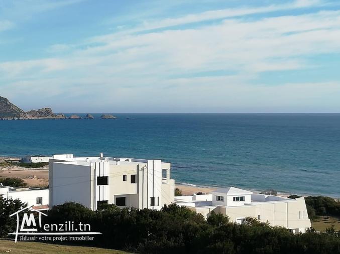 terrain de 250m² à Haouaria