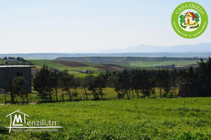 terrain à Manzel Brahim-Kélibia à vendre