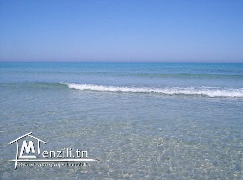 terrain magnifique a vendre pied dans l'eau