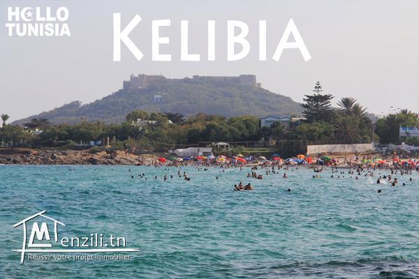 terrain cité kelibia quartier riadh zone calme