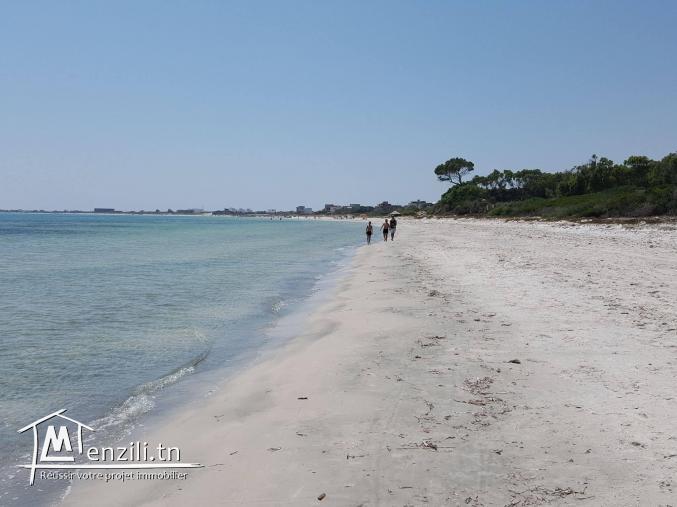 Terrain agricole entre kelibia et el haouria :