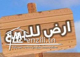 Terrain a vendre à Raoued de 520 m2