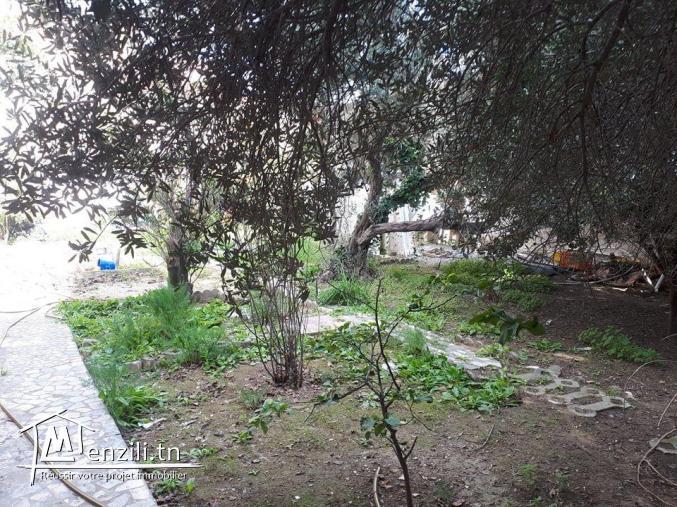 Villa s+3 a boukornine avec piscine