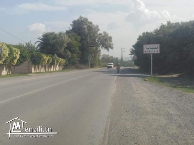 أرض مساحتها 200متر مربع للبيع بالخليدية