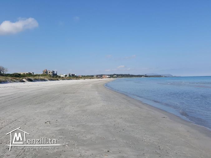 terrain pres de kerkouane