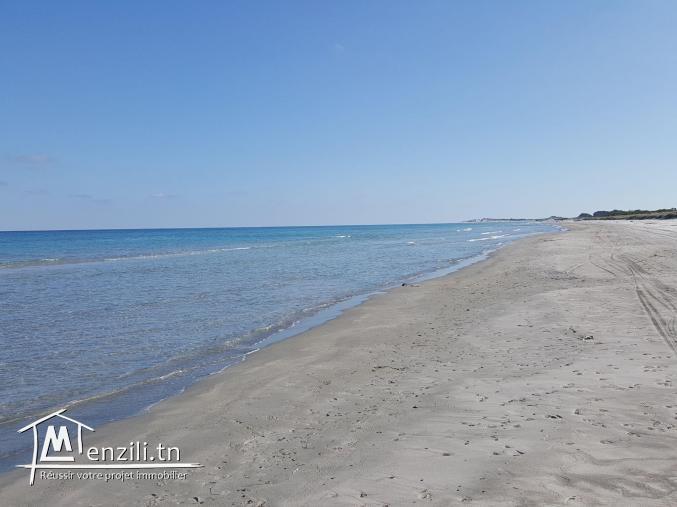 terrain pres de kerkouane