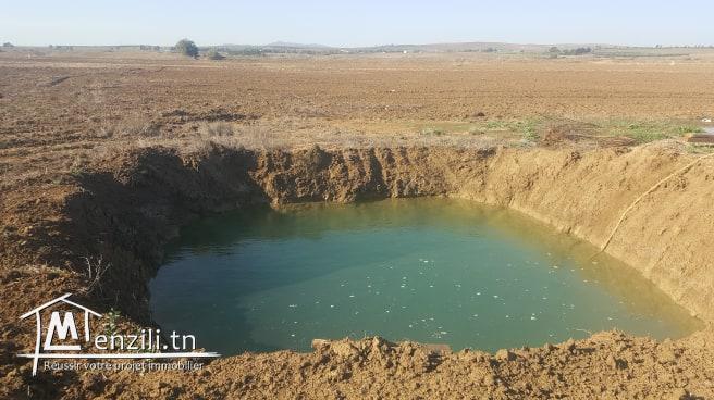 terrain agricole iriguee  a louer